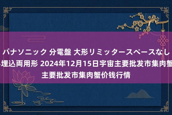 パナソニック 分電盤 大形リミッタースペースなし 露出・半埋込両用形 2024年12月15日宇宙主要批发市集肉蟹价钱行情