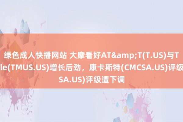 绿色成人快播网站 大摩看好AT&T(T.US)与T-Mobile(TMUS.US)增长后劲，康卡斯特(CMCSA.US)评级遭下调