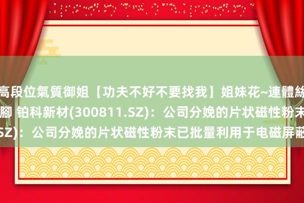 高段位氣質御姐【功夫不好不要找我】姐妹花~連體絲襪~大奶晃動~絲襪騷腳 铂科新材(300811.SZ)：公司分娩的片状磁性粉末已批量利用于电磁屏蔽