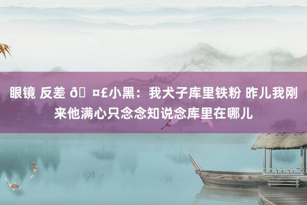 眼镜 反差 🤣小黑：我犬子库里铁粉 昨儿我刚来他满心只念念知说念库里在哪儿