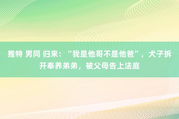 推特 男同 归来：“我是他哥不是他爸”，犬子拆开奉养弟弟，被父母告上法庭