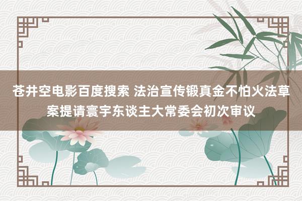 苍井空电影百度搜索 法治宣传锻真金不怕火法草案提请寰宇东谈主大常委会初次审议