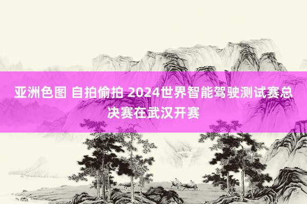 亚洲色图 自拍偷拍 2024世界智能驾驶测试赛总决赛在武汉开赛