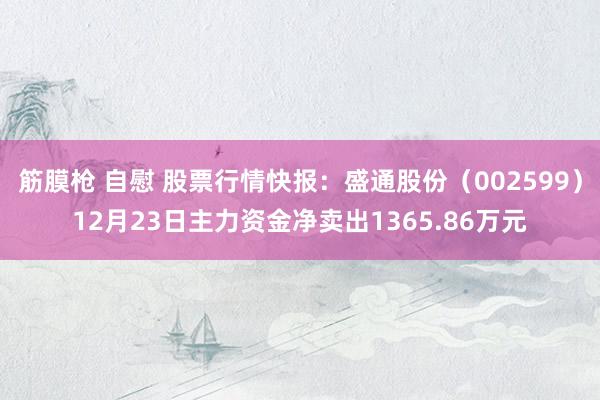 筋膜枪 自慰 股票行情快报：盛通股份（002599）12月23日主力资金净卖出1365.86万元