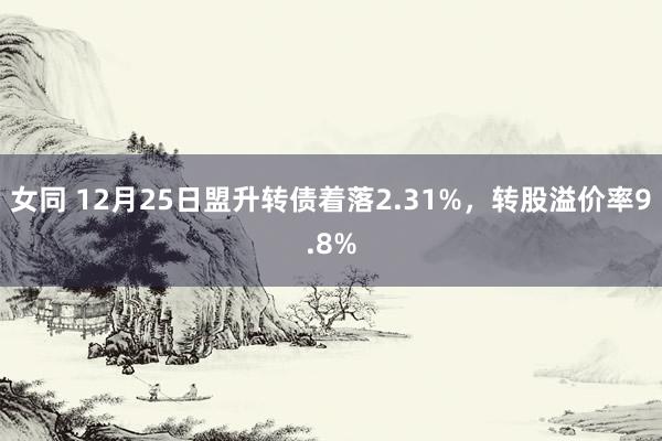 女同 12月25日盟升转债着落2.31%，转股溢价率9.8%