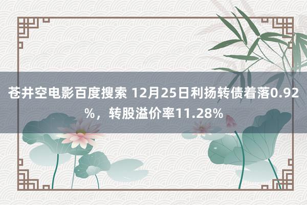 苍井空电影百度搜索 12月25日利扬转债着落0.92%，转股溢价率11.28%