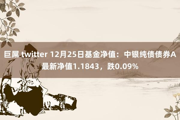 巨屌 twitter 12月25日基金净值：中银纯债债券A最新净值1.1843，跌0.09%