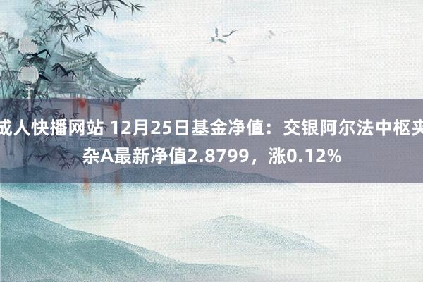 成人快播网站 12月25日基金净值：交银阿尔法中枢夹杂A最新净值2.8799，涨0.12%