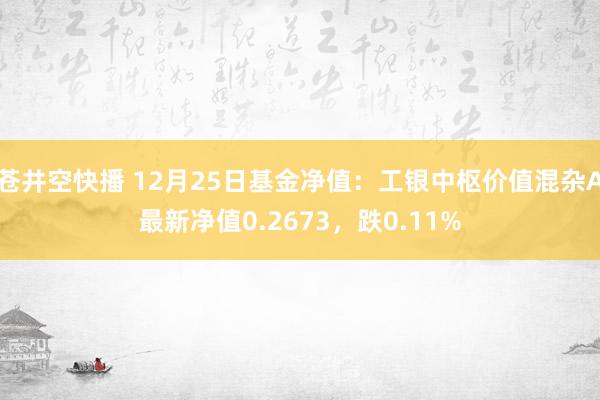 苍井空快播 12月25日基金净值：工银中枢价值混杂A最新净值0.2673，跌0.11%