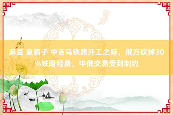 麻豆 夏晴子 中吉乌铁路开工之际，俄方砍掉30%铁路经费，中俄交易受到制约