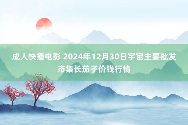 成人快播电影 2024年12月30日宇宙主要批发市集长茄子价钱行情