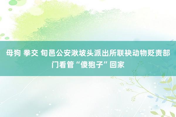 母狗 拳交 旬邑公安湫坡头派出所联袂动物贬责部门看管“傻狍子”回家