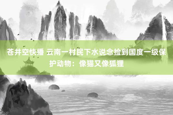 苍井空快播 云南一村民下水说念捡到国度一级保护动物：像猫又像狐狸