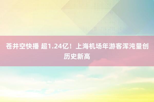 苍井空快播 超1.24亿！上海机场年游客浑沌量创历史新高