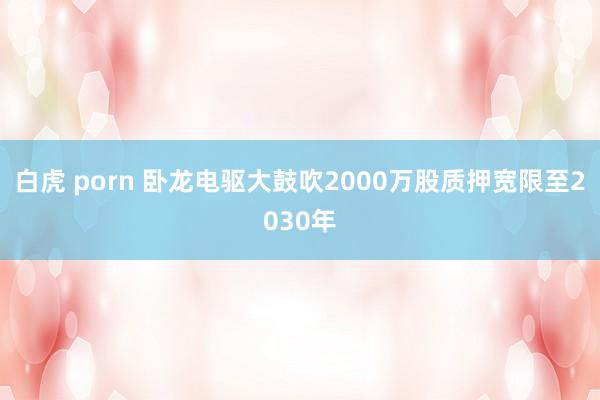 白虎 porn 卧龙电驱大鼓吹2000万股质押宽限至2030年