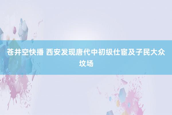 苍井空快播 西安发现唐代中初级仕宦及子民大众坟场