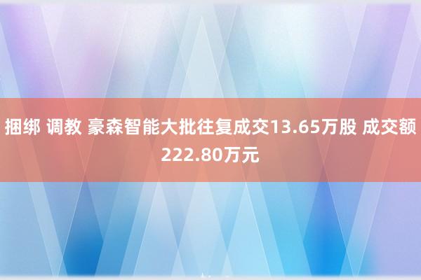 捆绑 调教 豪森智能大批往复成交13.65万股 成交额222.80万元