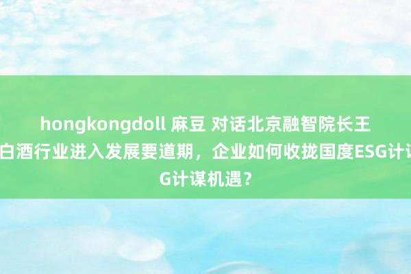 hongkongdoll 麻豆 对话北京融智院长王晓光：白酒行业进入发展要道期，企业如何收拢国度ESG计谋机遇？