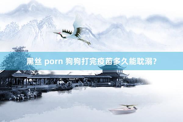 黑丝 porn 狗狗打完疫苗多久能耽溺？