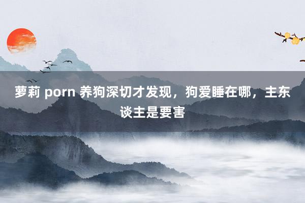 萝莉 porn 养狗深切才发现，狗爱睡在哪，主东谈主是要害