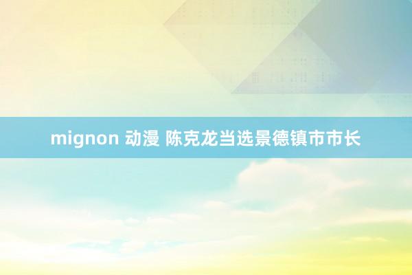 mignon 动漫 陈克龙当选景德镇市市长