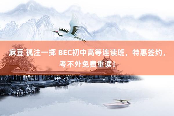 麻豆 孤注一掷 BEC初中高等连读班，特惠签约，考不外免费重读！