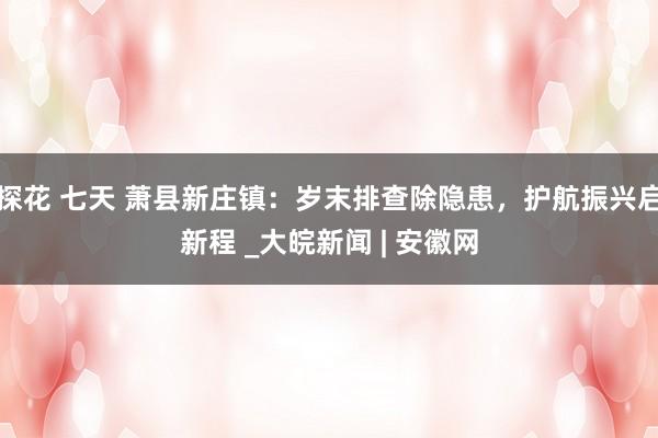 探花 七天 萧县新庄镇：岁末排查除隐患，护航振兴启新程 _大皖新闻 | 安徽网